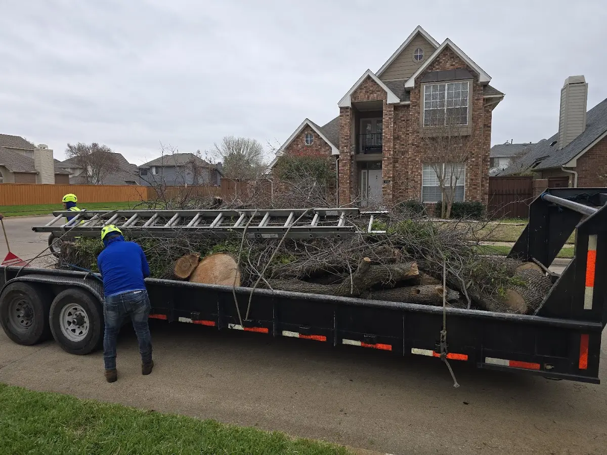Expert Tree Fertilization with proper safety equipment in Cedar Creek